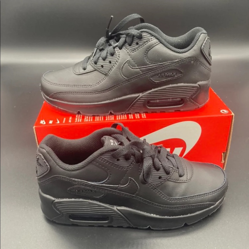 NIB Nike Air Max 90